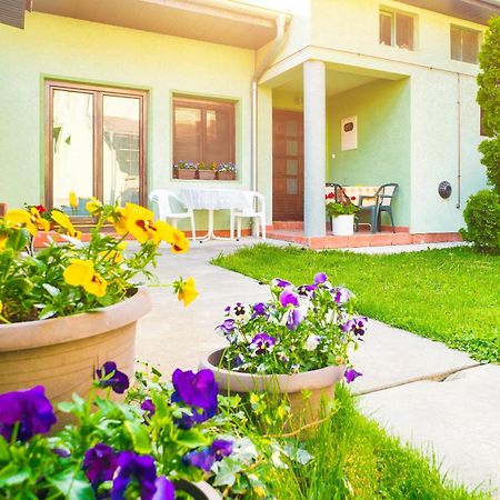 Apartmani Slavica Jagodina Dış mekan fotoğraf